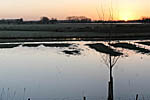 Panorama vanaf de dijk